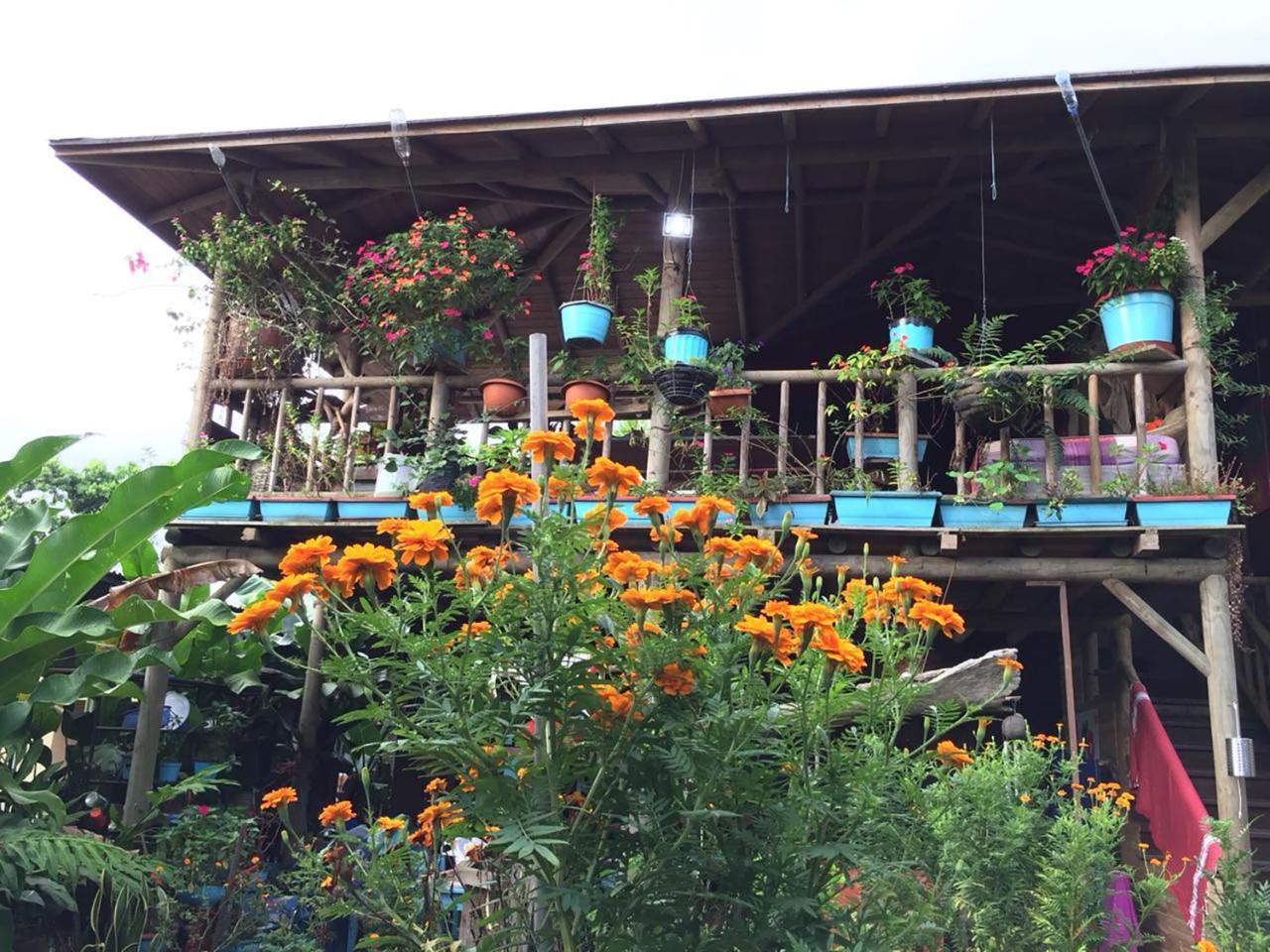 Wood House Hostel La Fortuna Exterior photo