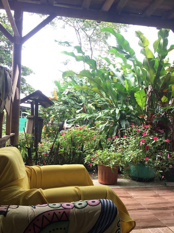 Wood House Hostel La Fortuna Exterior photo
